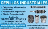 CEPILLOS ESPECIALES 